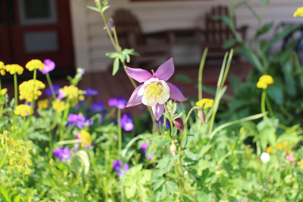 Cristiana Guesthaus Villa Crested Butte Luaran gambar